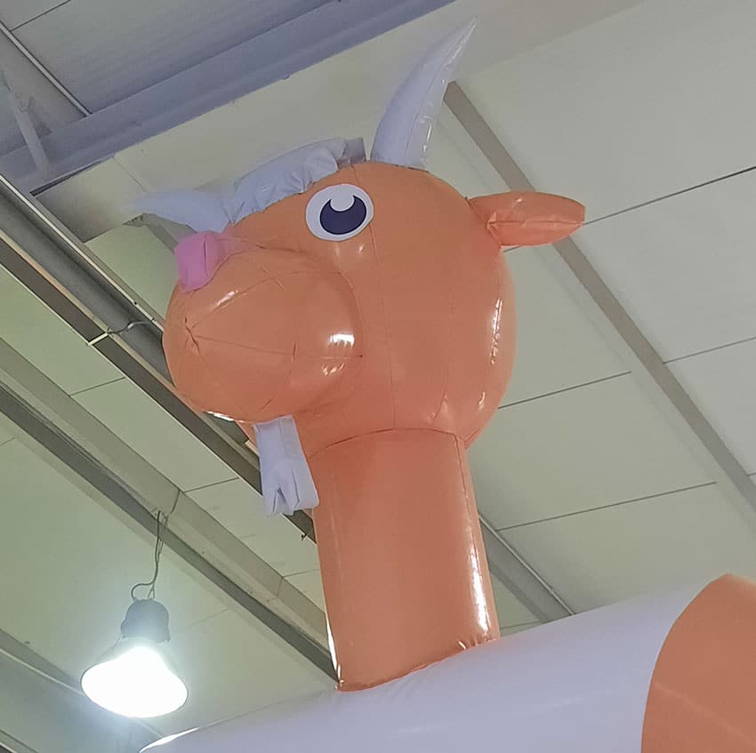 Aufgeblasener Ziegenkopf