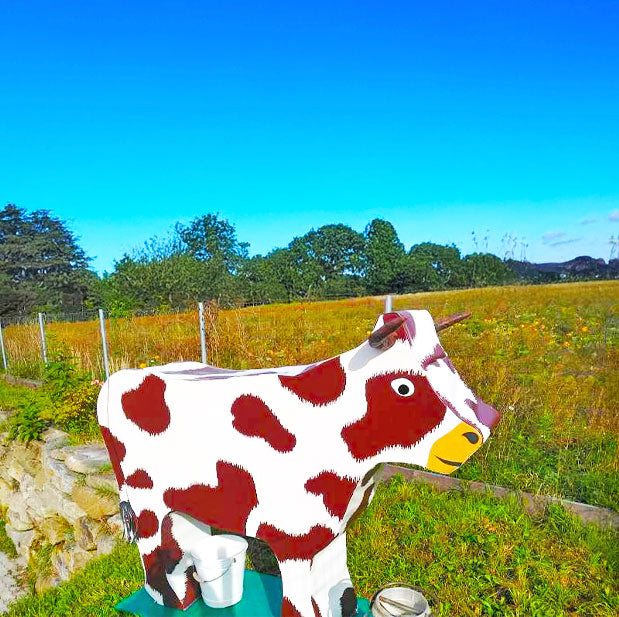 Froehliche Kuh zum melken auf einer grossen Wiese vor einem Zaun
