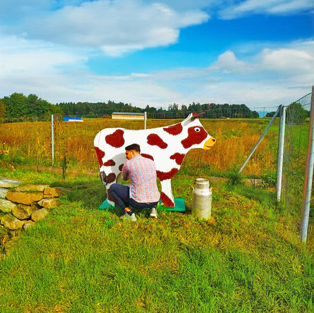 Mann von hinten  vor einer Lebensgrossen unechten Kuh beim melken