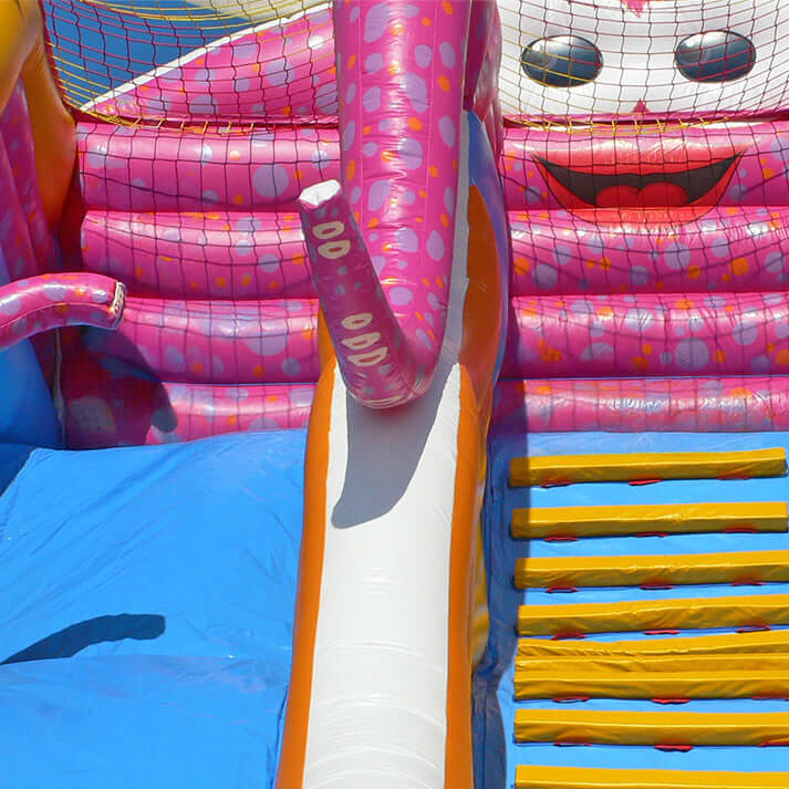 Aufblasbare Riesenrutsche im Ozean-Look mit Seepferdchen, Clownfisch und pinkem Oktopus – farbenfrohe Wasserwelt für Kinder