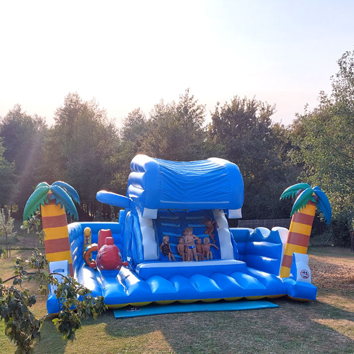 Bouncy castle with whale slide 11x6m - Rent a bouncy castle | Bouncy castles ✓ 300+ other play equipment for rent