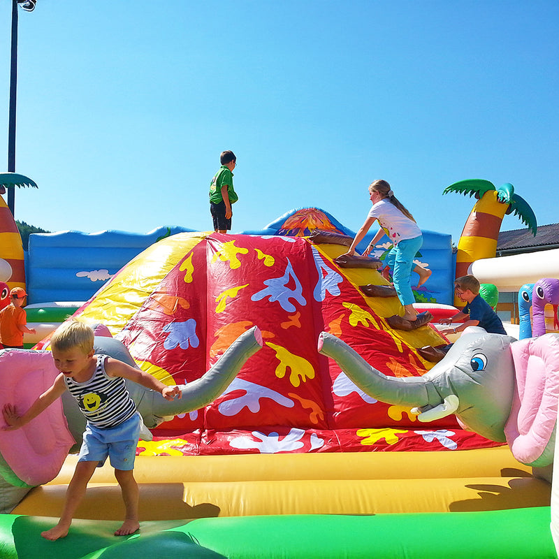 Rent a Volcano XXL bouncy castle 10x10m - climbing, sliding and adventure - Rent a bouncy castle | Bouncy castles ✓ 300+ other play equipment for rent