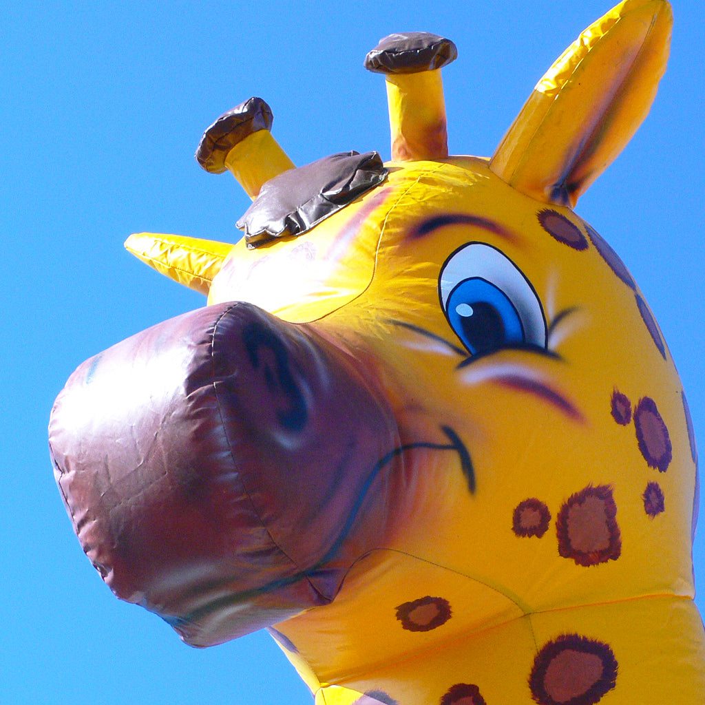 Großer aufblasbarer Giraffenkopf.