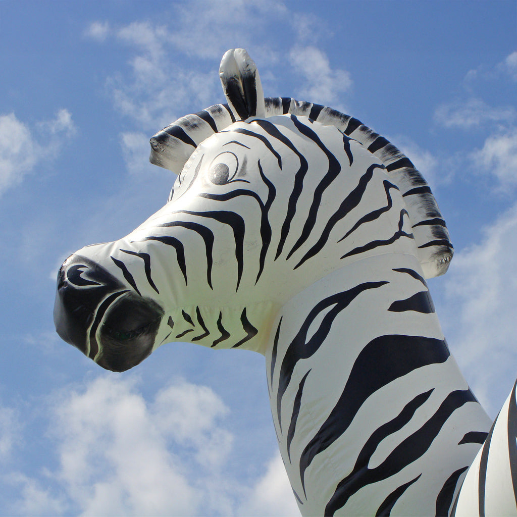 Aufblasbarer Zebra Kopf.