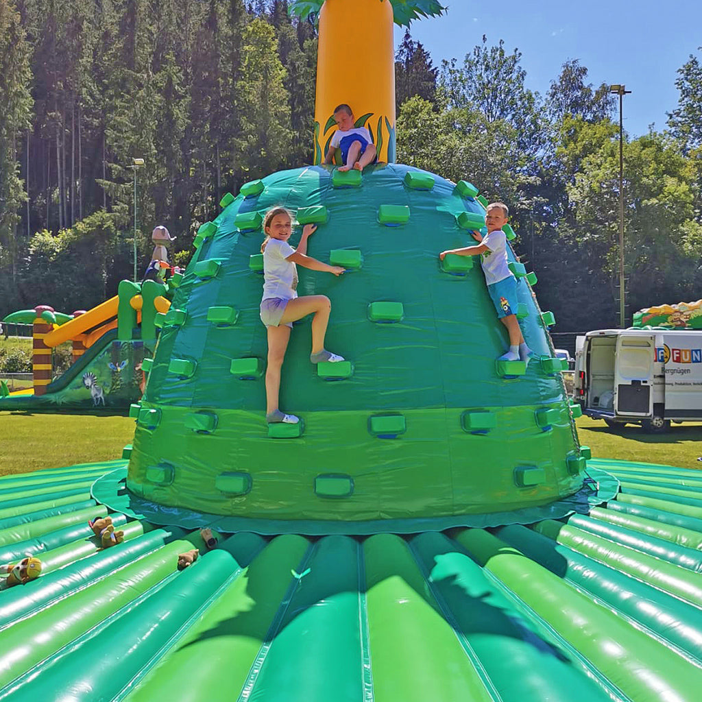 Climbing Mountain Cactus – The tingling climbing fun for outdoor adventures - Climbing tower, climbing mountain, bouncy castle | Buy professional climbing modules