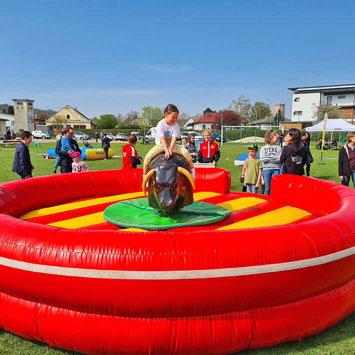 inflatable rodeo bull
